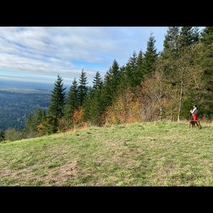 Meet your Posher, Divya